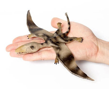Pterosaur Dinosaur Animal Figure Toy PVC Wildlife Small Figurine Birthday