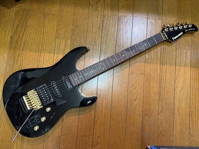 Fernandes FR 25 Anniversary, equipped with full-mode sustainer