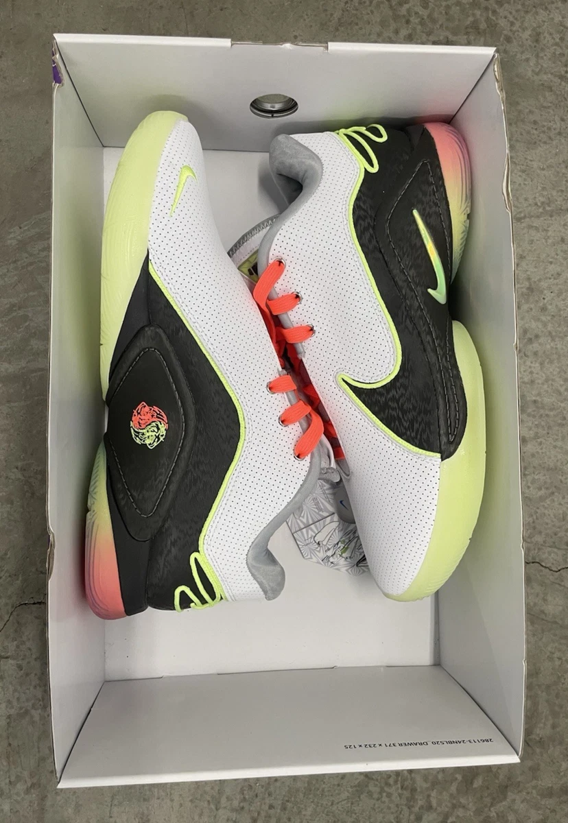 Nike LeBron 22 Crown Jewel for Sale | Authenticity Guaranteed | eBay