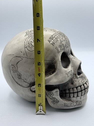 Ouija Symbole Totenkopf Skelett Kopf Halloween Figur realistisch lebensecht gruselig - Bild 7 von 7