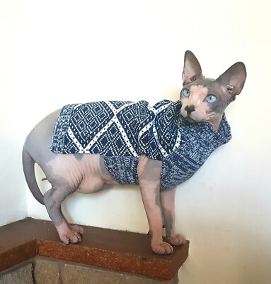 large NAVY winter sweater top for a Sphynx cat, Sphynx cat clothes