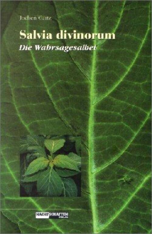 Jochen Gartz | Salvia Divinorum - Der Wahrsagesalbei | Taschenbuch |