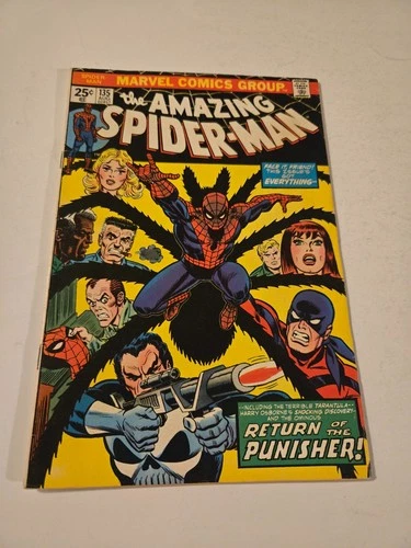 AMAZING SPIDER-MAN #135, 2nd full appearance of PUNISHER, Marvel 1974, VF-