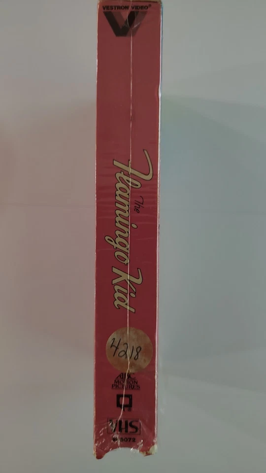 The Flamingo Kid VHS (1985 Release)🦩 Matt Dillon Richard Crenna Bronson Pinchot — 第 4/4 张图片