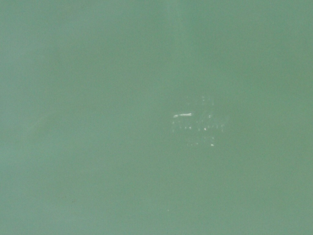 Bild 3 von 3