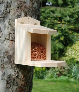 Hand Made Wooden Squirrel Feeder With A Hinged Lid And Glass Front