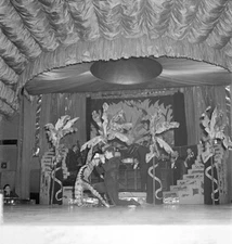 Vintage UNIDENTIFIED Original SHOW GIRLS B&W 120 Film Negative