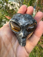 Arfvedsonite  Crystal Carved alien head Tiger eye Healing shimmer small 154g