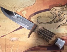 INOX Hunting Knife Stag Handle Stainless Steel Clip Point Leather Sheath