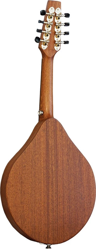 Mandolina Ashbury AM-140, tapa de cedro macizo, cuerpo sólido. De Hobgoblin Music Foto 2 de 4