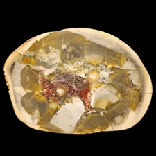 Polished Chert Pod, Marra Mamba Banded Iron Formation, Australia 316G