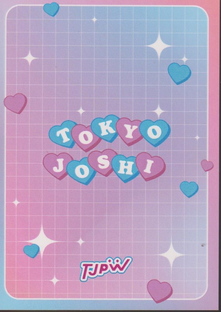 19パックセット【非売品プロモ】2024 TEAMJAPAN オフィシャルトレカ 2024 TEAM JAPAN オフィシャルトレーディングカード TEAM JAPAN