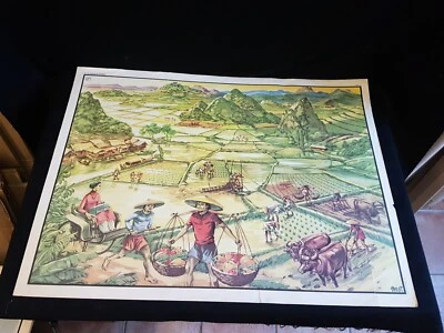 Affiche scolaire Édition MDI double face Ref. 31 et 32 des années 70's 91x68 - Photo 1/2