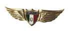 Vintage Post-WW2 Mexican Air Force Observer Wings Badge Mexico Military Meyer NY
