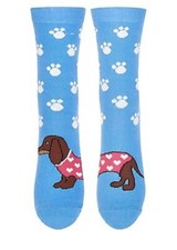 Women's Blue Dachshund Dogs Split Socks