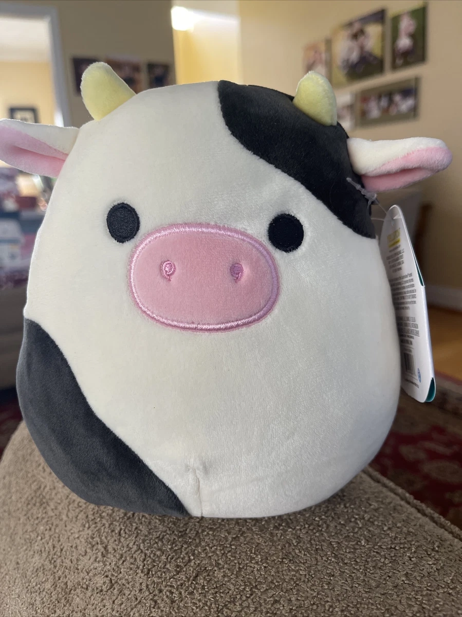 Connor the store cow squishmallow