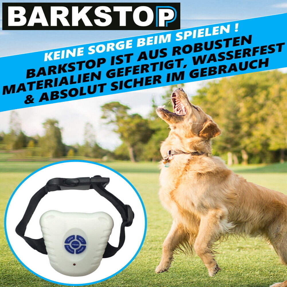 Bild 5 von 6