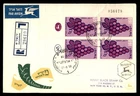 Mayfairstamps Israel FDC 1958 Grapes Block Reg Jerusalem First Day Cover aaz_807