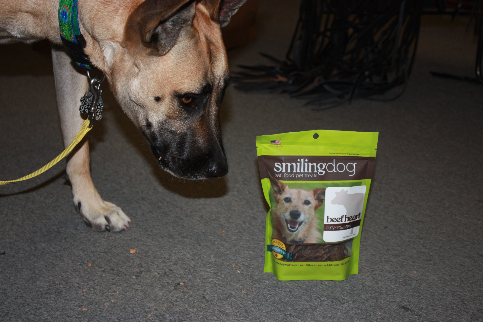 smiling dog treats