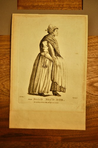 Grabado WENCESLAUS HOLLAR 1772: THE CALV FAC'D DOE - Imagen 2 de 11