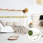 Bild 7 von 12