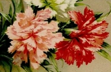 Birthday Pink Red Carnations Embossed frame small flowers Germany Vintage