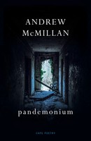 Pandemonium | Andrew Mcmillan | Englisch | Taschenbuch | Kartoniert / Broschiert
