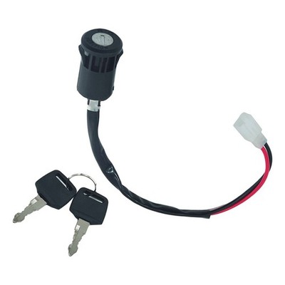 2Wire Ignition Switch Key Fit for Motorcycle Mini Dirt Pocket Bike ATV Quad New