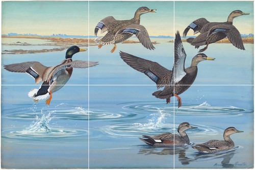 Panel de cerámica de mosaico de pájaros pintura mural aves estampado arte salpicadero azulejos - Imagen 6 de 6
