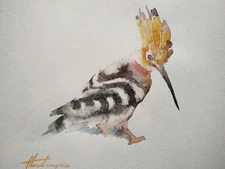 Hoppoe, Birds, Watercolor artwork, Handmade, Original painting on paper