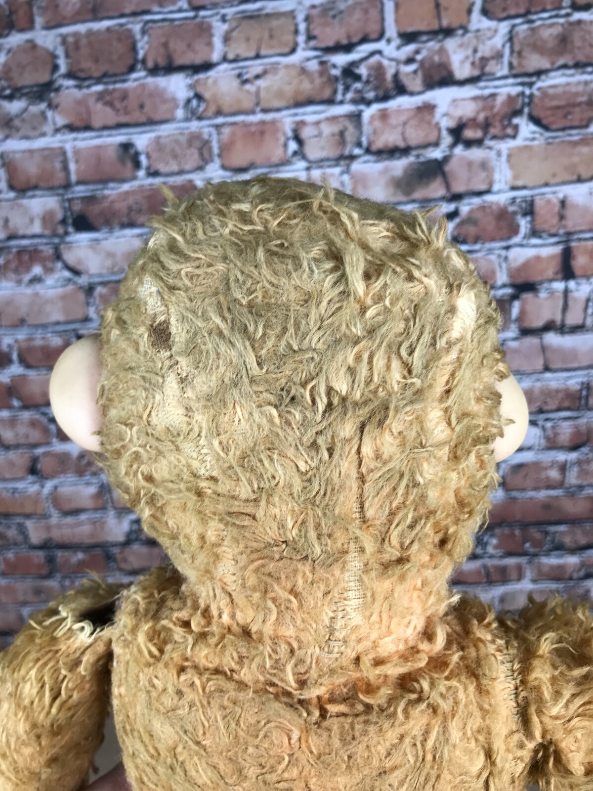 Picture 22 of 24