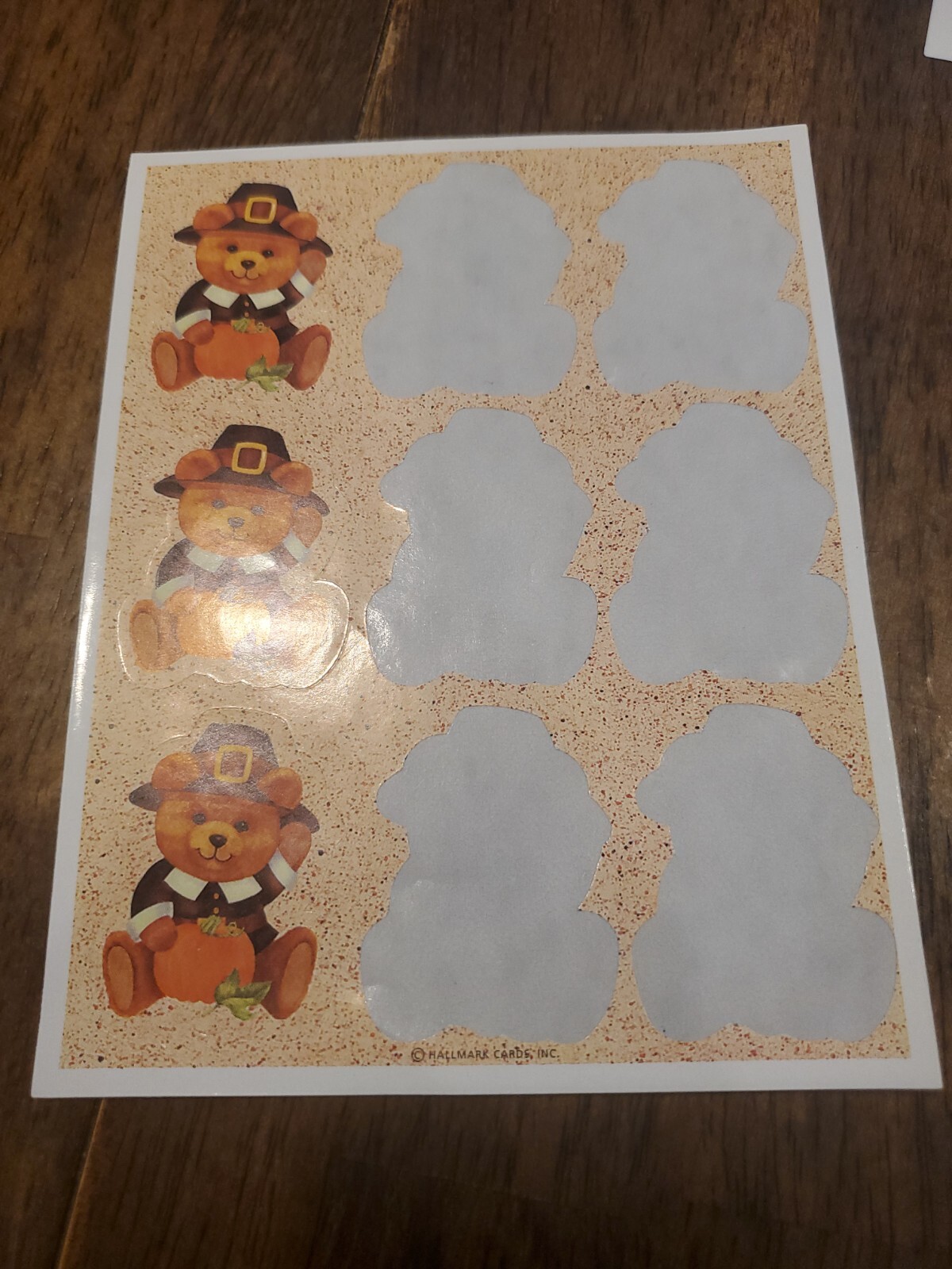 Picture 4 of 16