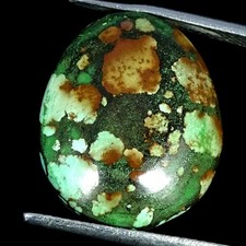 15.20Cts 100 Natural Turquoise Fancy Cabochon Gemstone 16X19X7MM