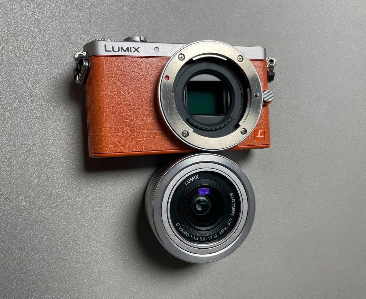 Panasonic LUMIX GM1 Digital Cameras for Sale | Shop New & Used