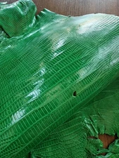 Genuine lizard skin, genuine lizard leather, Exotic leather