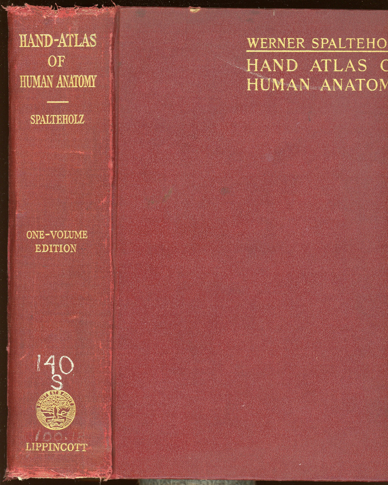 vintage Medical: HAND-ATLAS OF HUMAN ANATOMY by Spalteholz.
