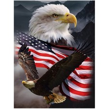 5D DIY Diamond Painting Kits for Adults Kids Eagle and Flag Full Drill Embroider