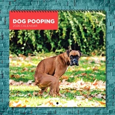 Pooping Pooches Dog 2026 Wall Calendar, 12-Month Celebrity Photo Calendar