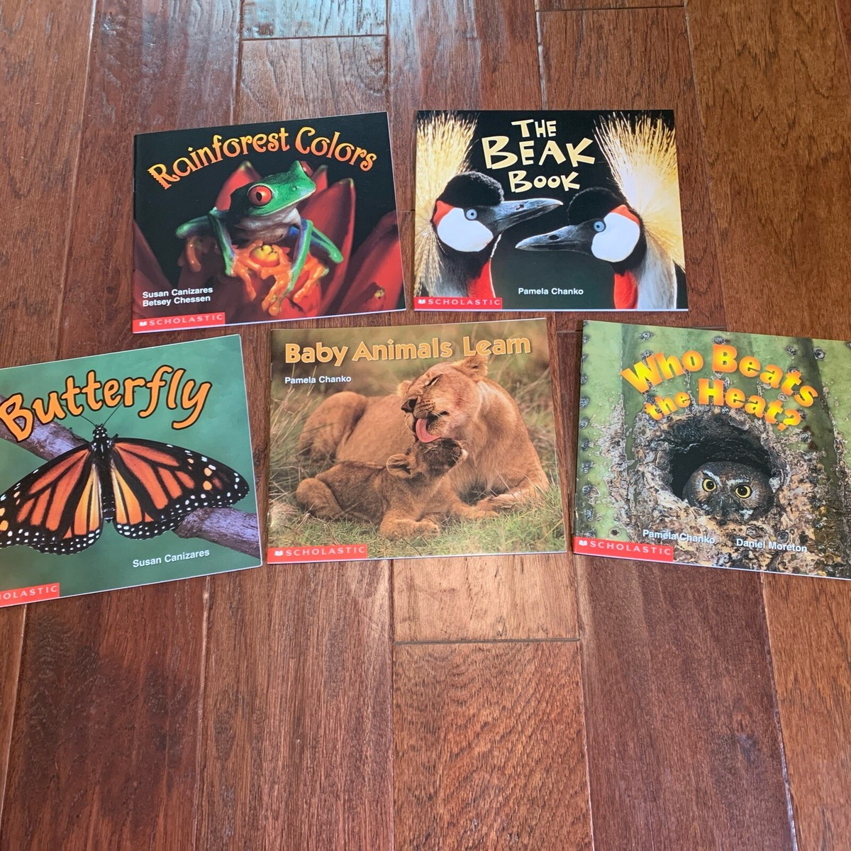 Scholastic Time to Discover Science他 多読 Set of 5 Books, Science Readers Level 1 Scholastic Time to