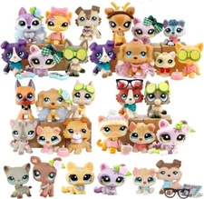 Random 5PC Pet Shop lps Toy Cute Figure Cats and Dogs with 7PC Accessories Rare