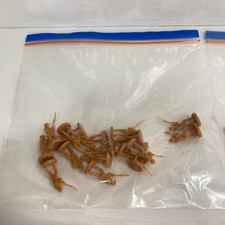 Axis & Allies Infantry Replacement Pieces Lot Brown Soldiers Units