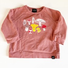 Whistle Flute Girls Mushroom Graphic Organic Cotton Raglan Sweatshirt 3-4Y