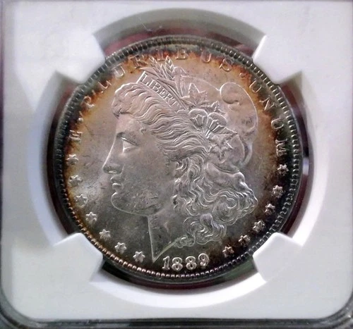 BEAUTIFUL, BETTER-DATE, "1889". "NGC", "MS-64", MORGAN DOLLAR. GREAT TONING.