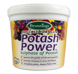 to potassium how power with up Potash Brunnings Fertiliser Potassium Power 1kg to potassium how power with up Potash Brunnings Fertiliser Potassium Power 1kg