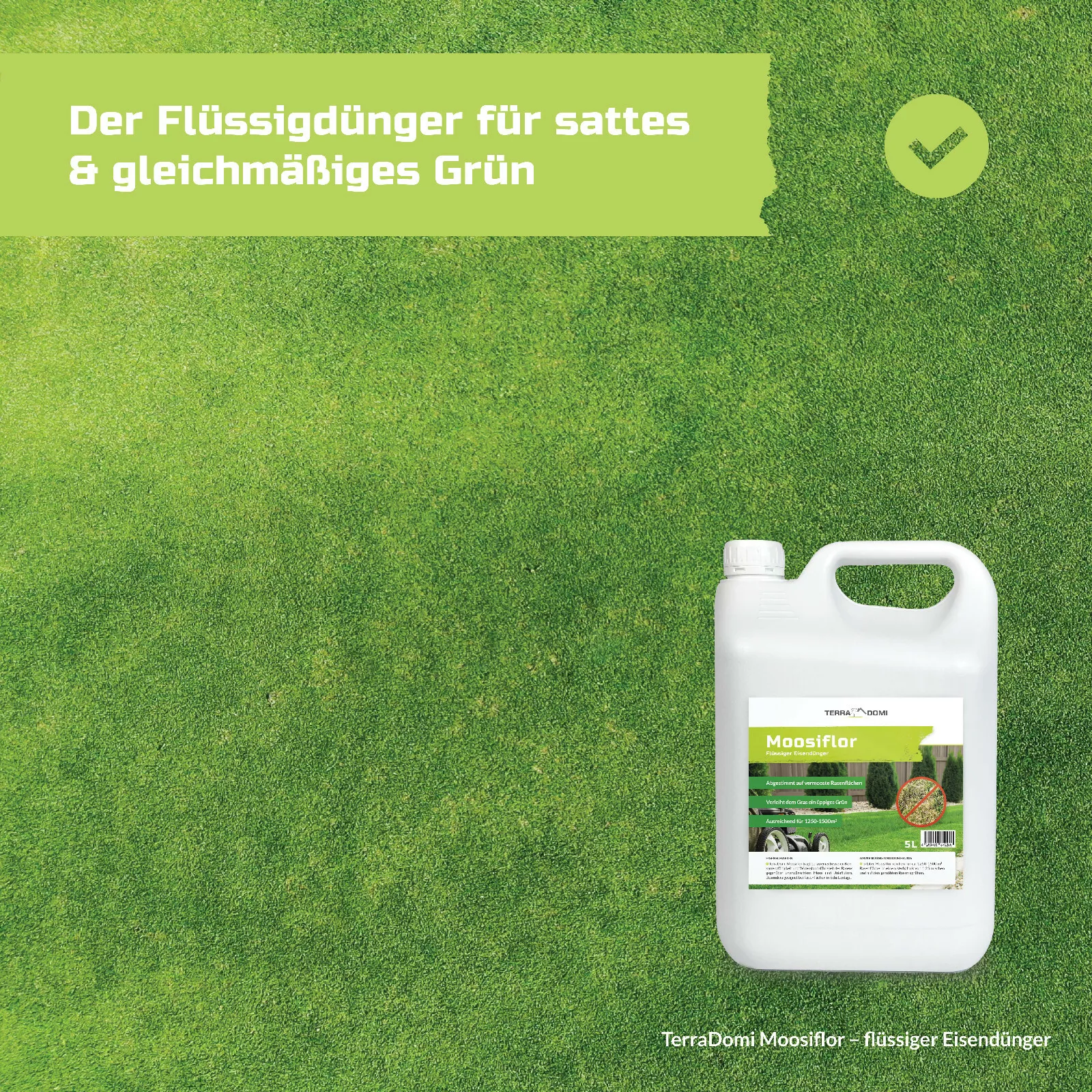 Bild 6 von 6