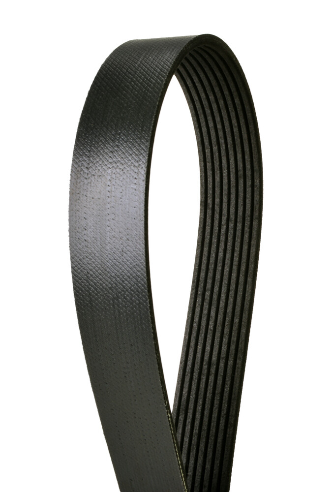 Serpentine Belt Continental Elite 4081223F | eBay