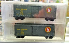 Micro-Trains 2 Pack Great Northern 40' Standard Box Cars 20406-2