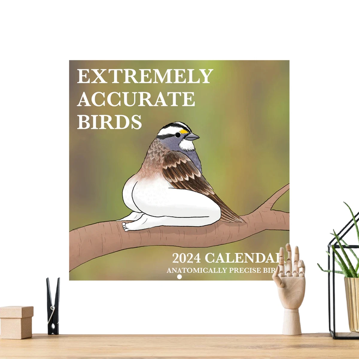 2024 Calendar Of Extremely Accurate Birds Wall Monthly Calendar For Bird  Lovers | eBay