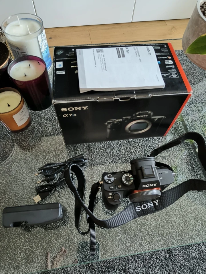 Sony Alpha 7S, foto 2 di 5