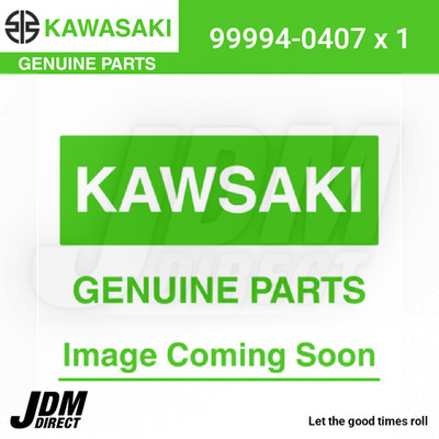 NEU 2015 - 2023 ORIGINAL KAWASAKI VERSYS 650 1000 ONE KEY SYSTEM 99994-0407